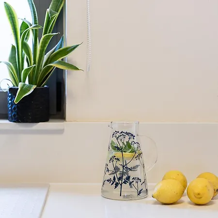 Hestia Grey Barefoot Escape 100M From Beach *
